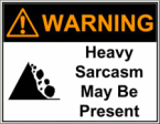 Would You Even Recognize Sarcasm?