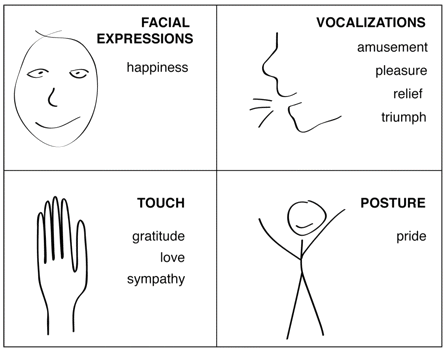 Different expressions of positive emotions